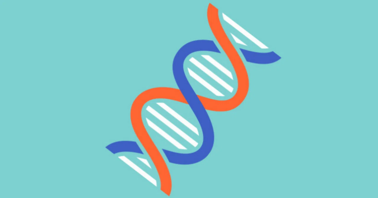 亜鉛は DNA 損傷から保護できますか？
