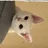 くだちい
