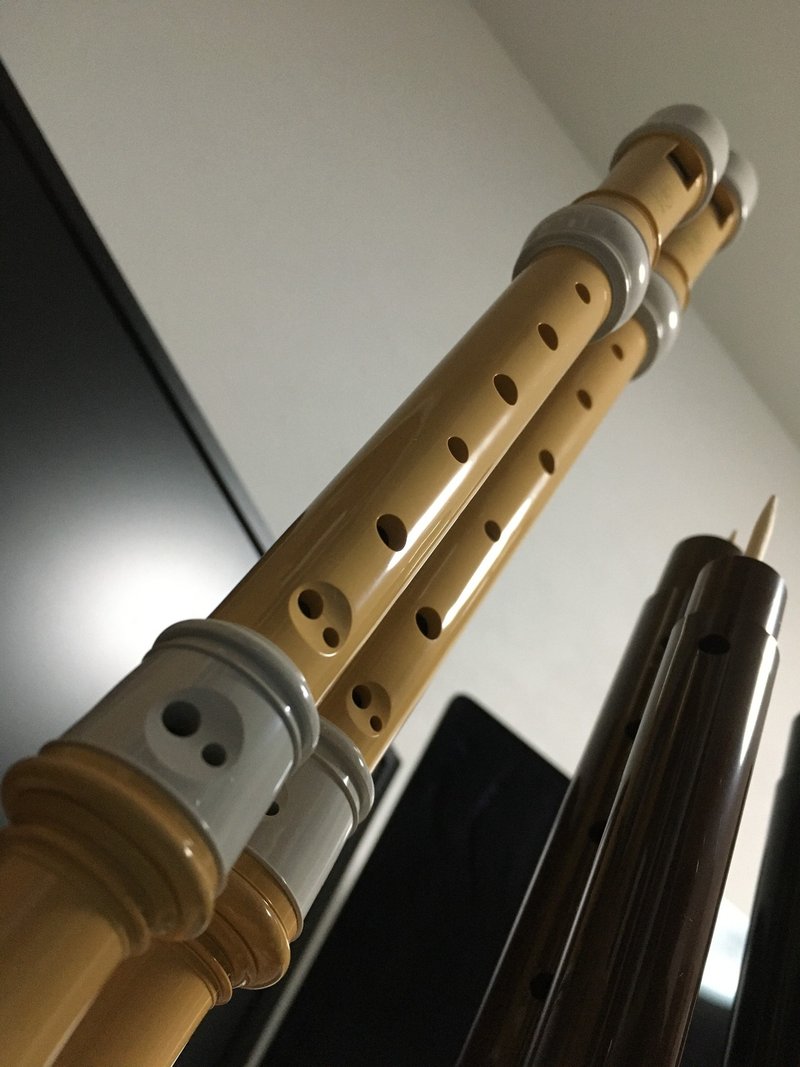 学校が始まる前に リコーダーを洗って欲しい Xyca Note