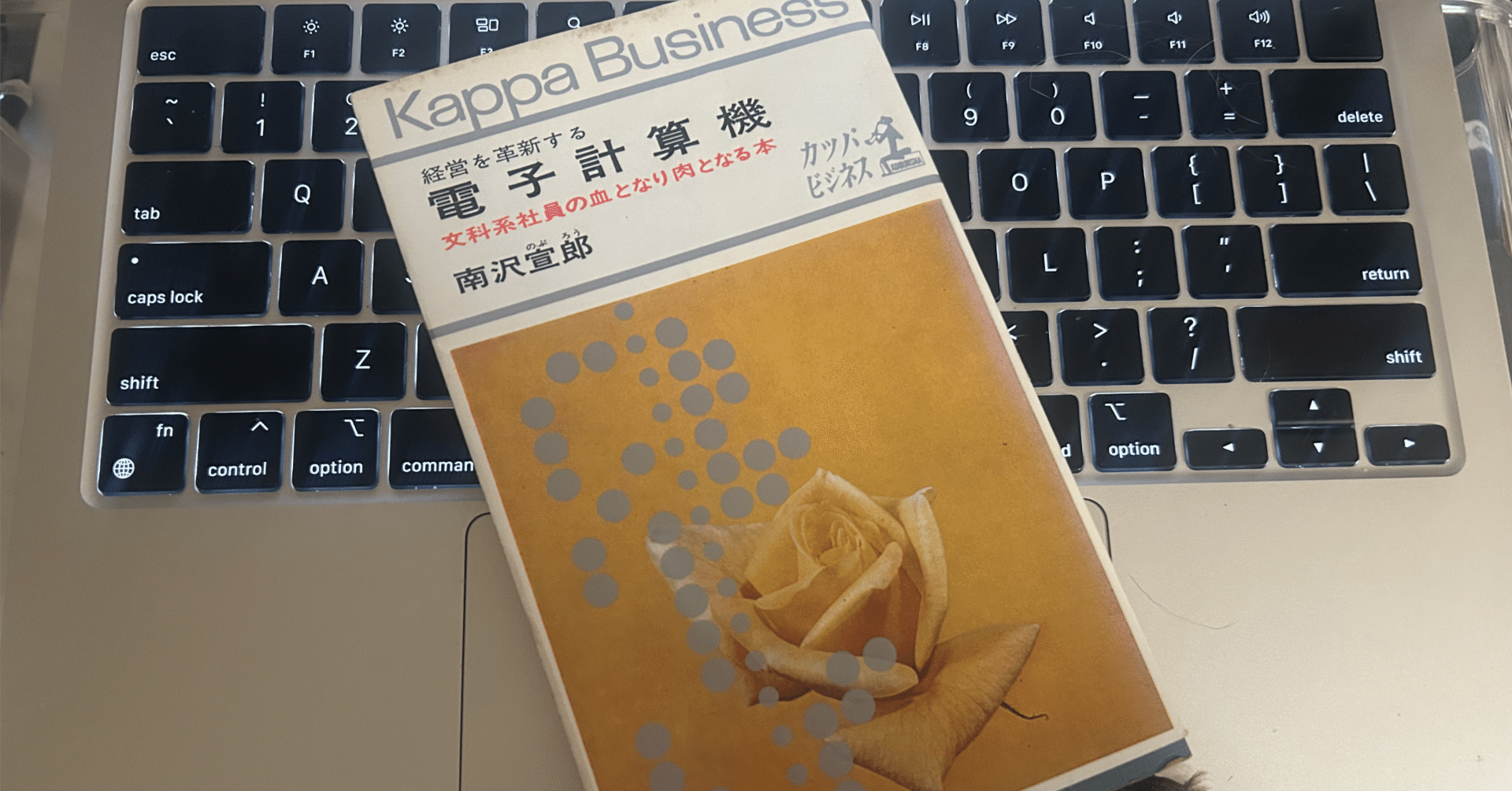 【A104】経営を革新する 電子計算機 文科系社員の血となり肉となる本/南沢宣郎 令和目線で昭和の本を】『経営を革新する電子計算機 文科系社員の血