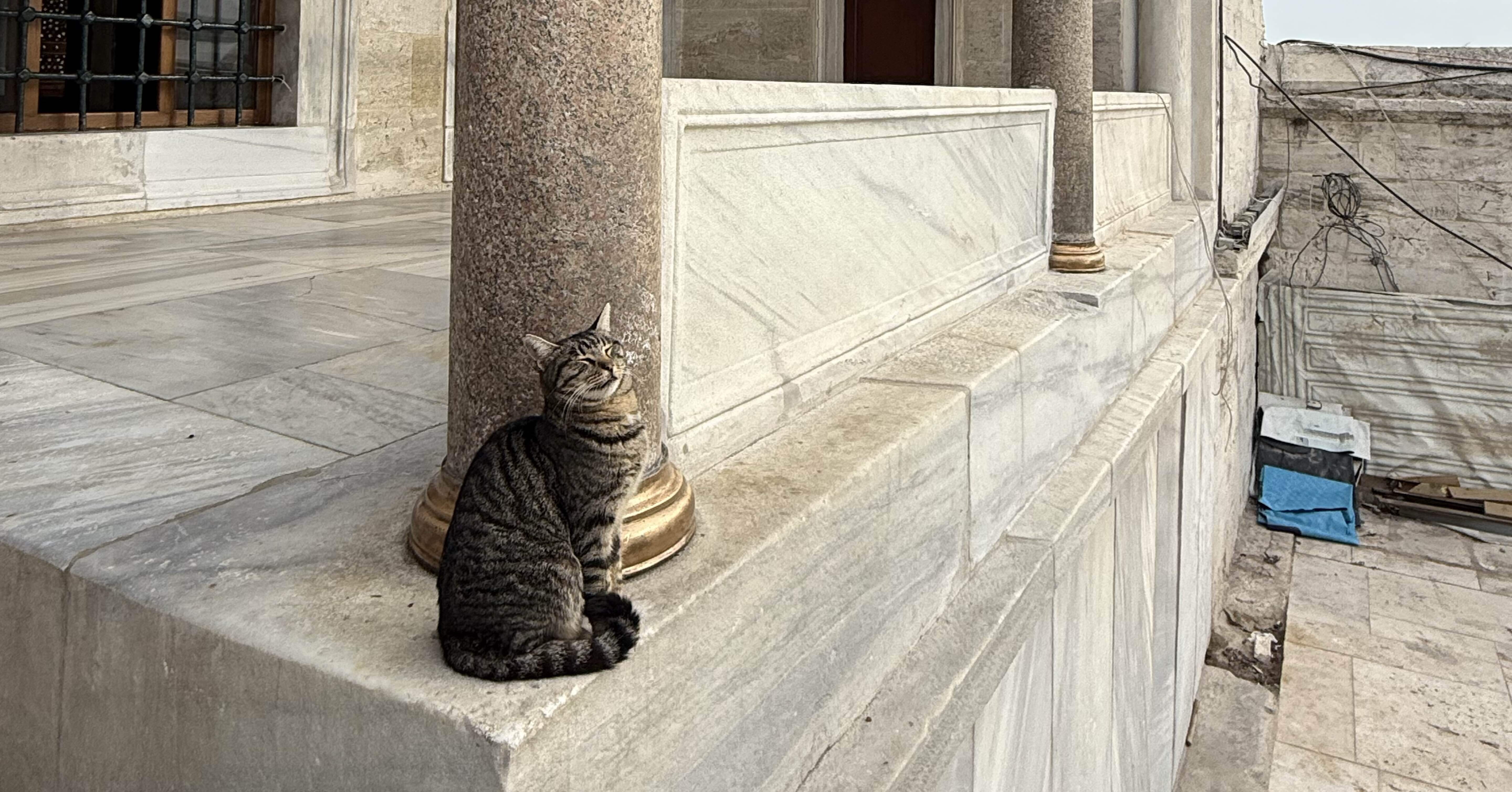 2025.11】トルコ#3｜ブルーモスク＆バシリカシスタン｜ハシモト