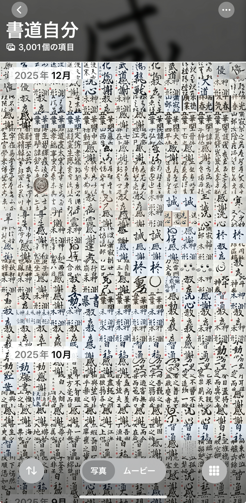 ㊗️自分書道作品が3000枚超えた！🎉٩(๑❛ᴗ❛๑)۶｜良知(Ryouchi)