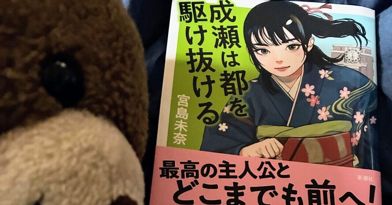 クマのつんどく紹介しますクマ｜くまだもの(○(工)○)