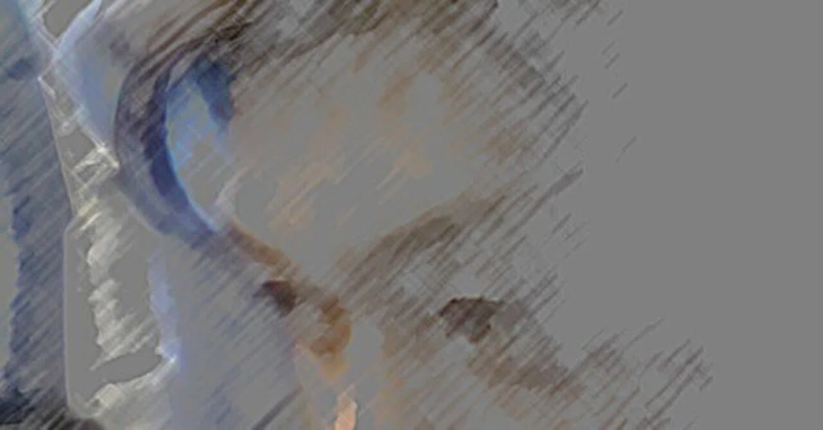 èŠåºãç»å