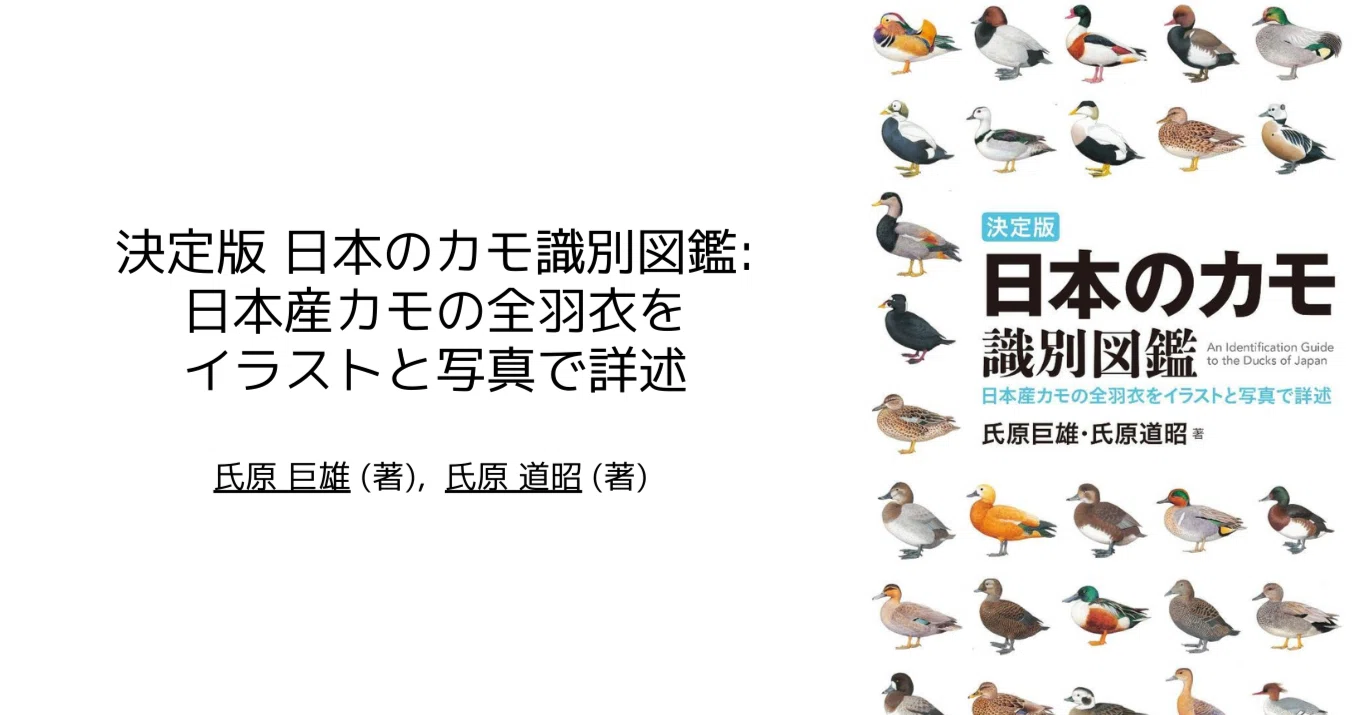 決定版 日本のカモ識別図鑑: 日本産カモの全羽衣をイラストと写真で詳
