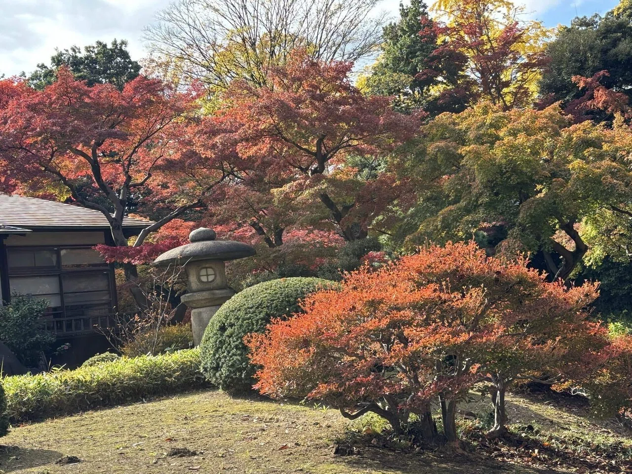 Brocade-like Autumn Colors at Koishikawa Korakuen: I never expected to ...