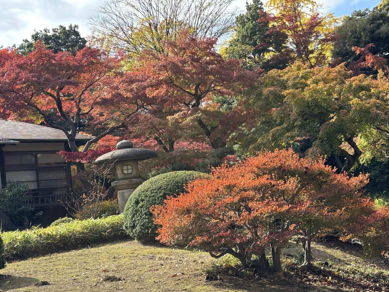 Fall Color Format Note Brocade-like Autumn Colors at Koishikawa Korakuen: I never expected to ...