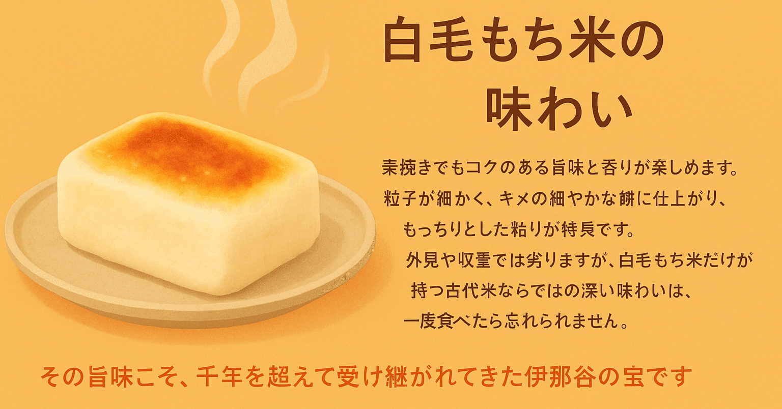 お正月や特別な日に！米農家中西の白毛もち米で作る極上餅｜おこわ