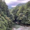 言の葉の音色を聴いてみたい
