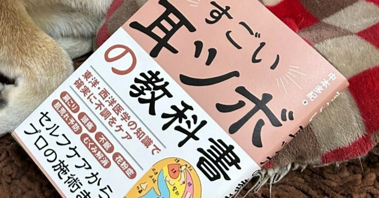 すごい！耳つぼの教科書NO.2 陰陽五行論と耳つぼの選び方｜タオ 