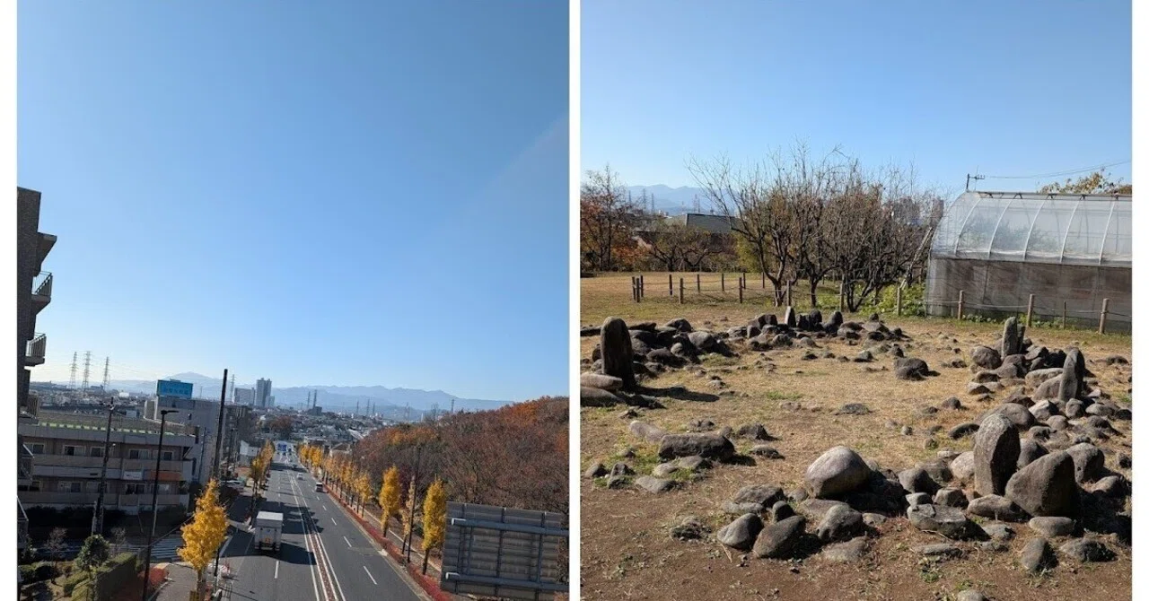 Amidst Changing Scenery, Japan, Bloom Proudly to the World! ~ The 