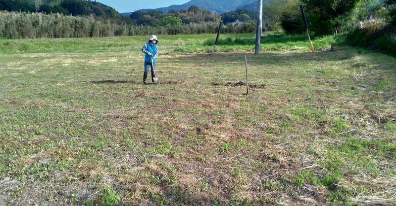 破産寸前なので畑を耕した【#家庭菜園】