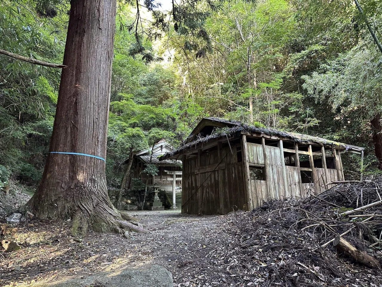5283 厳島神社 兵庫県神戸市北区山田町坂本（坂本厳島神社）｜日本中