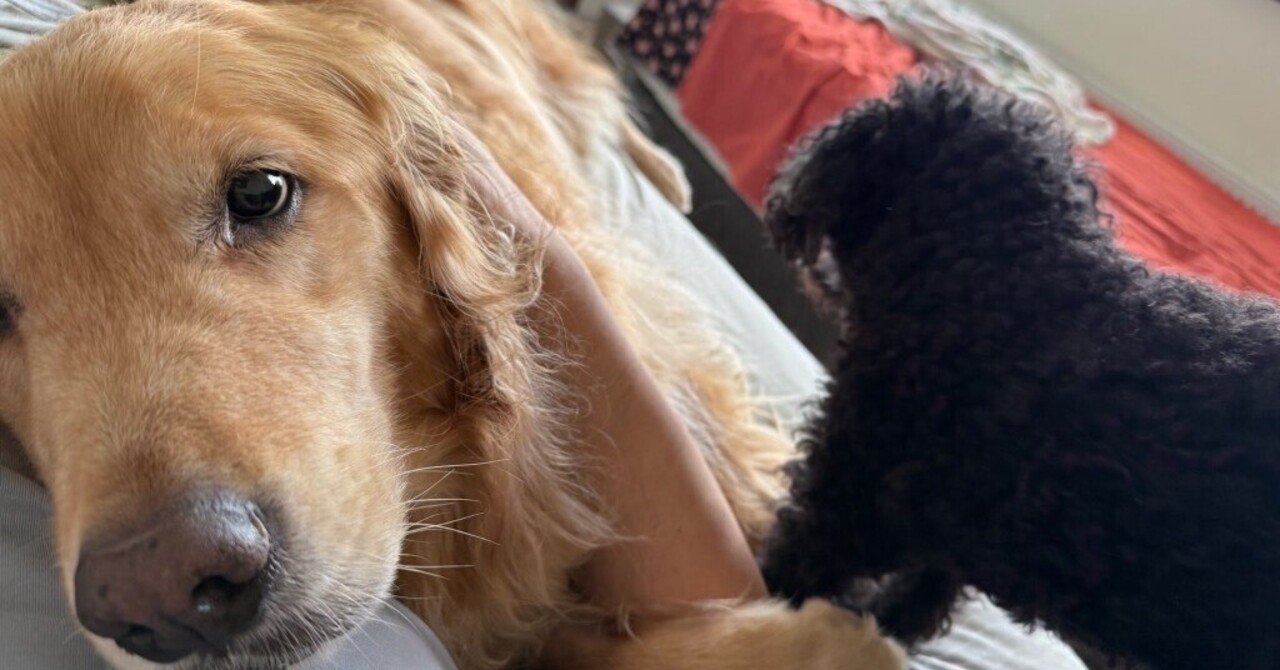 余談 ～インフレヘッジ～｜ひゅう/Life Design Base Sapporo