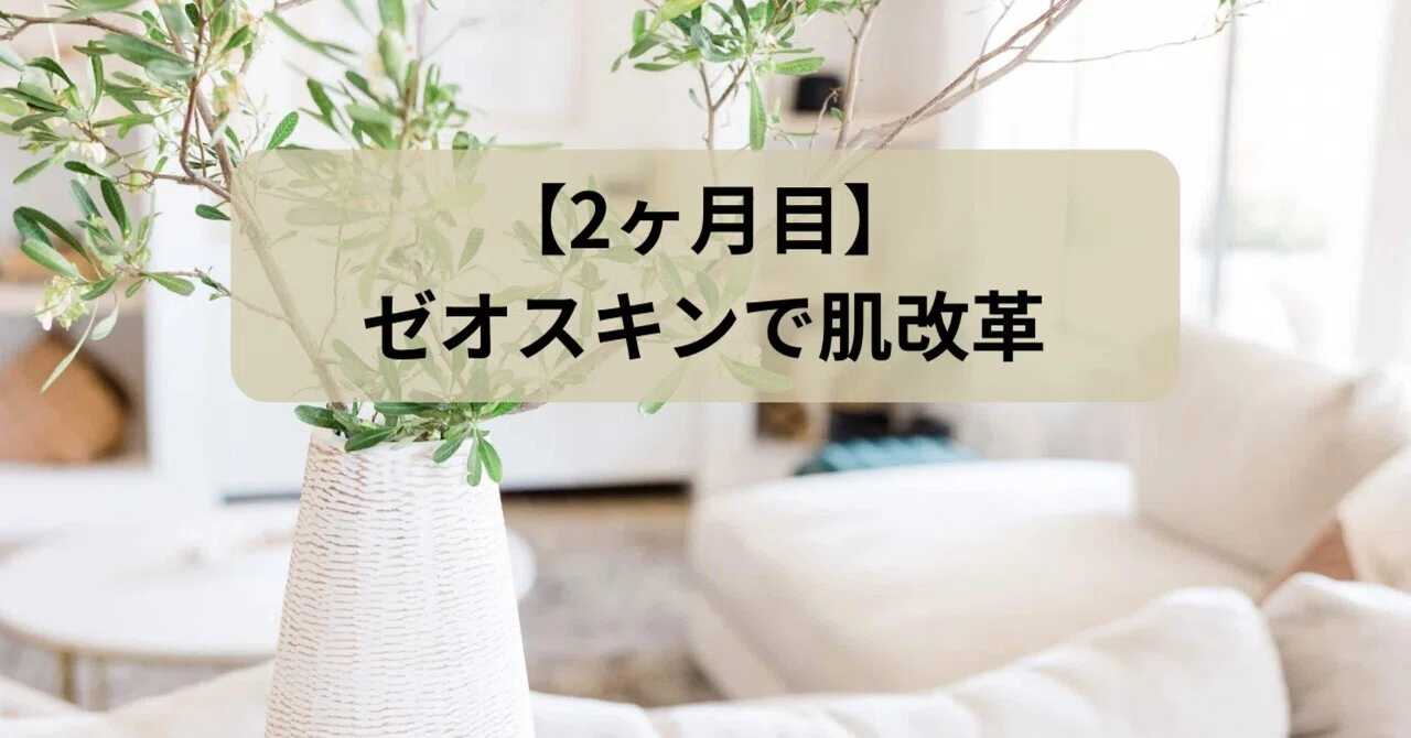 2ヶ月目】ゼオスキンで肌革命｜ぽめら