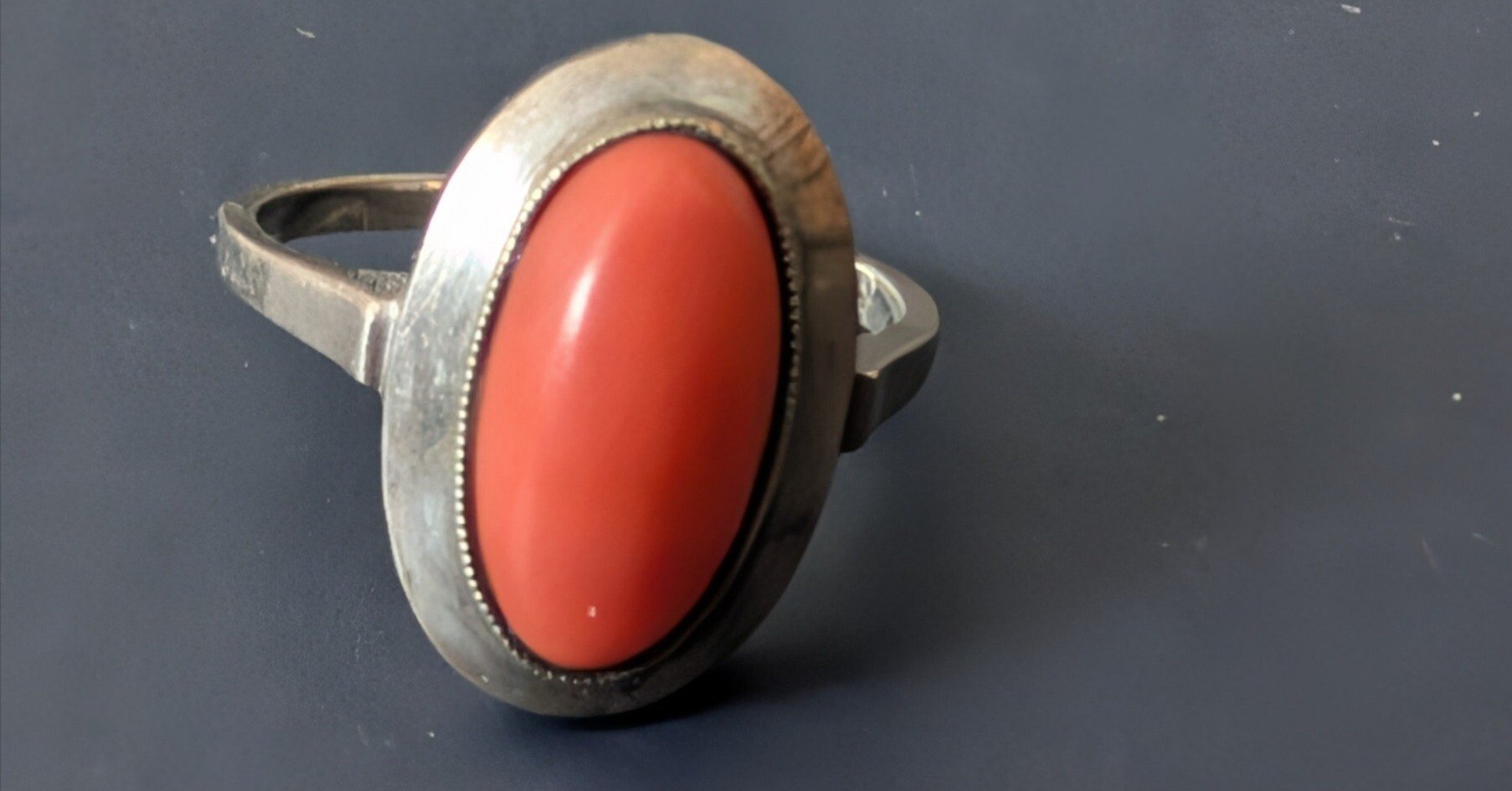 251204 さぁ珊瑚で暖をとろう｜水たまり