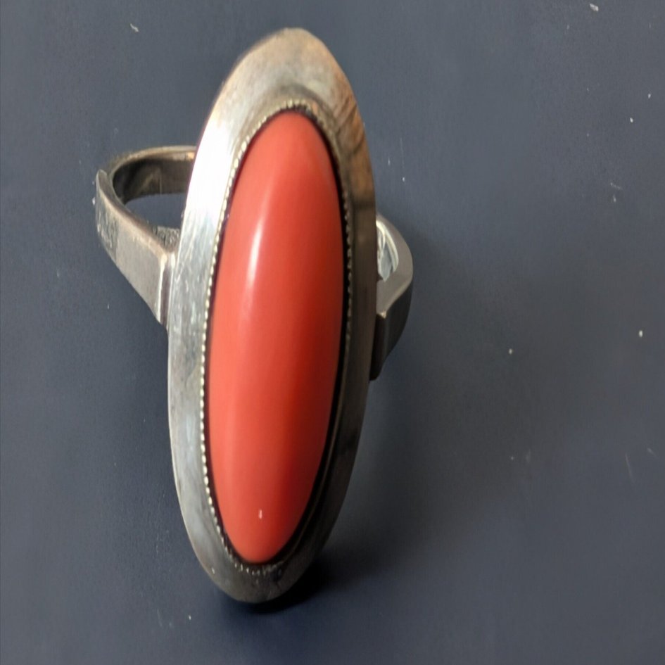 251204 さぁ珊瑚で暖をとろう｜水たまり