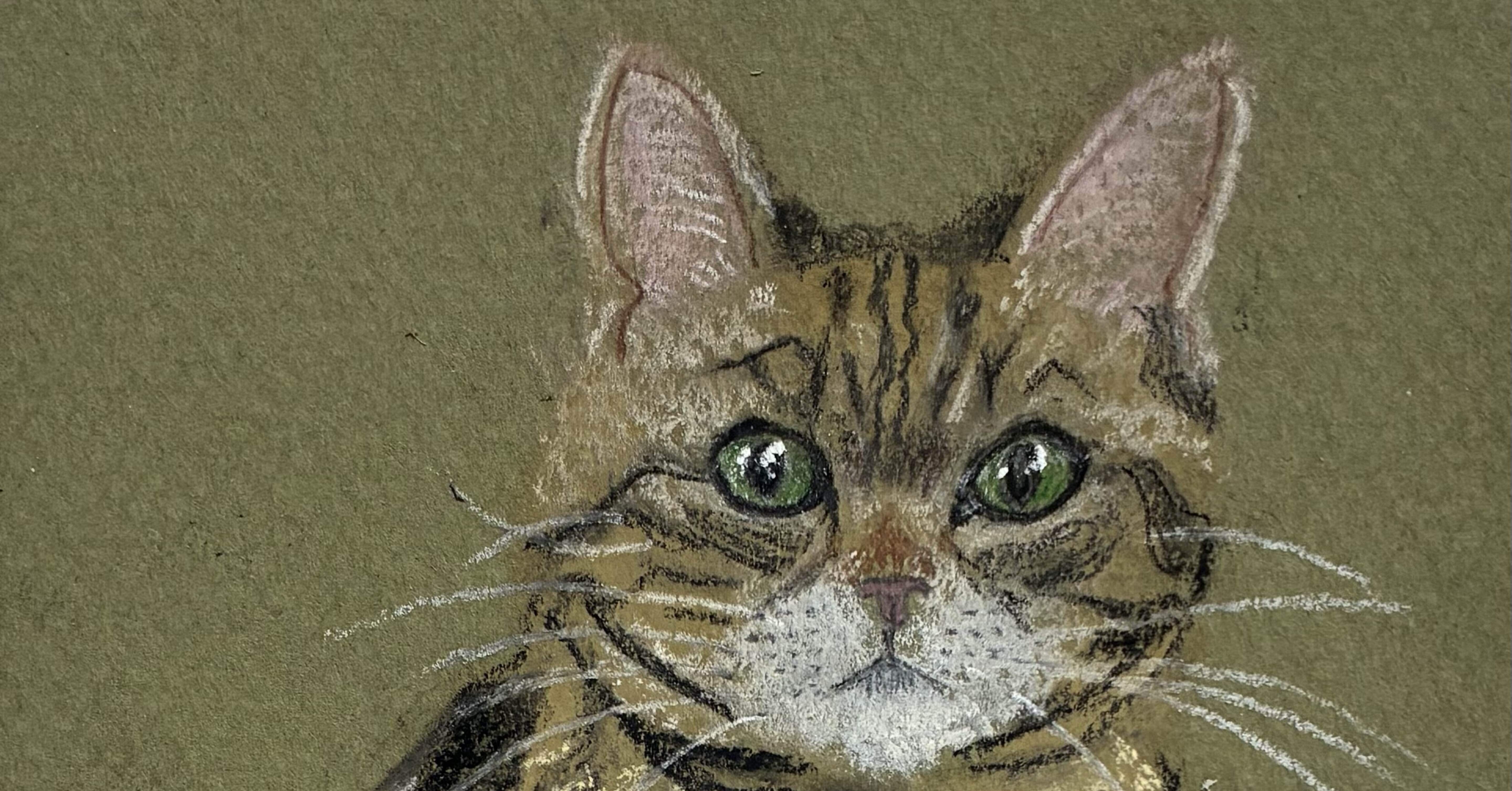 猫のパステル画（8）です。｜まる