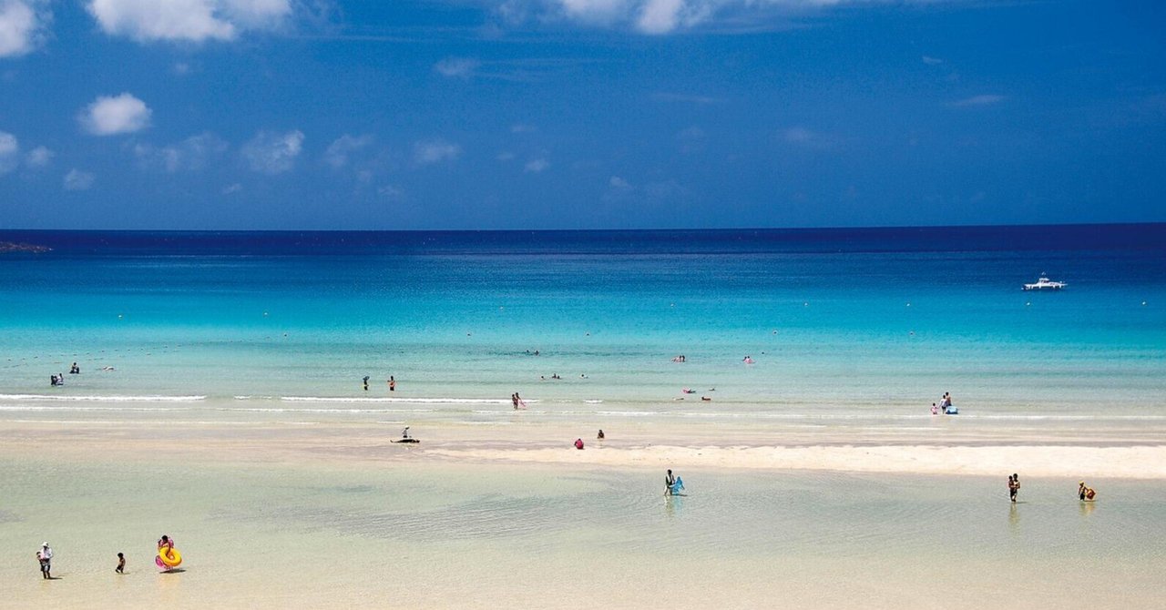 魚津ヶ崎 菜の花まつり