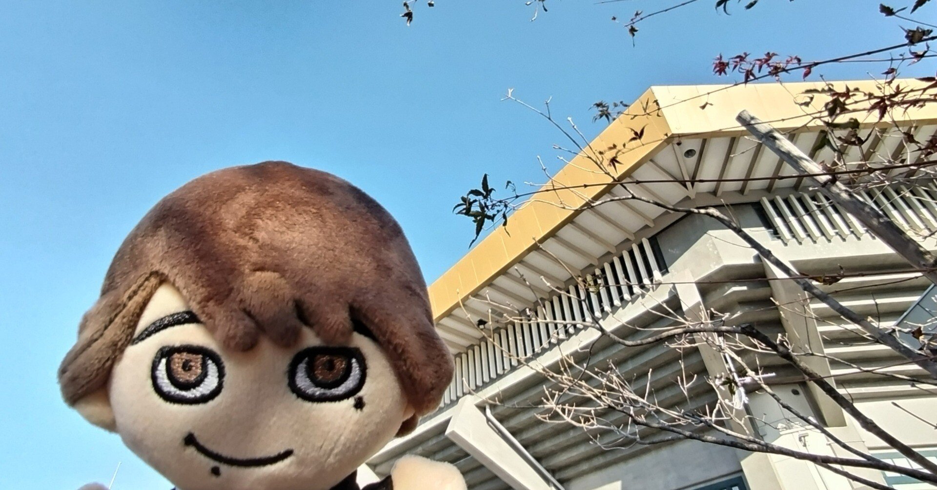 ∞】SUPER EIGHT 超八in日本武道館 20251126｜ヤマシナセンカ