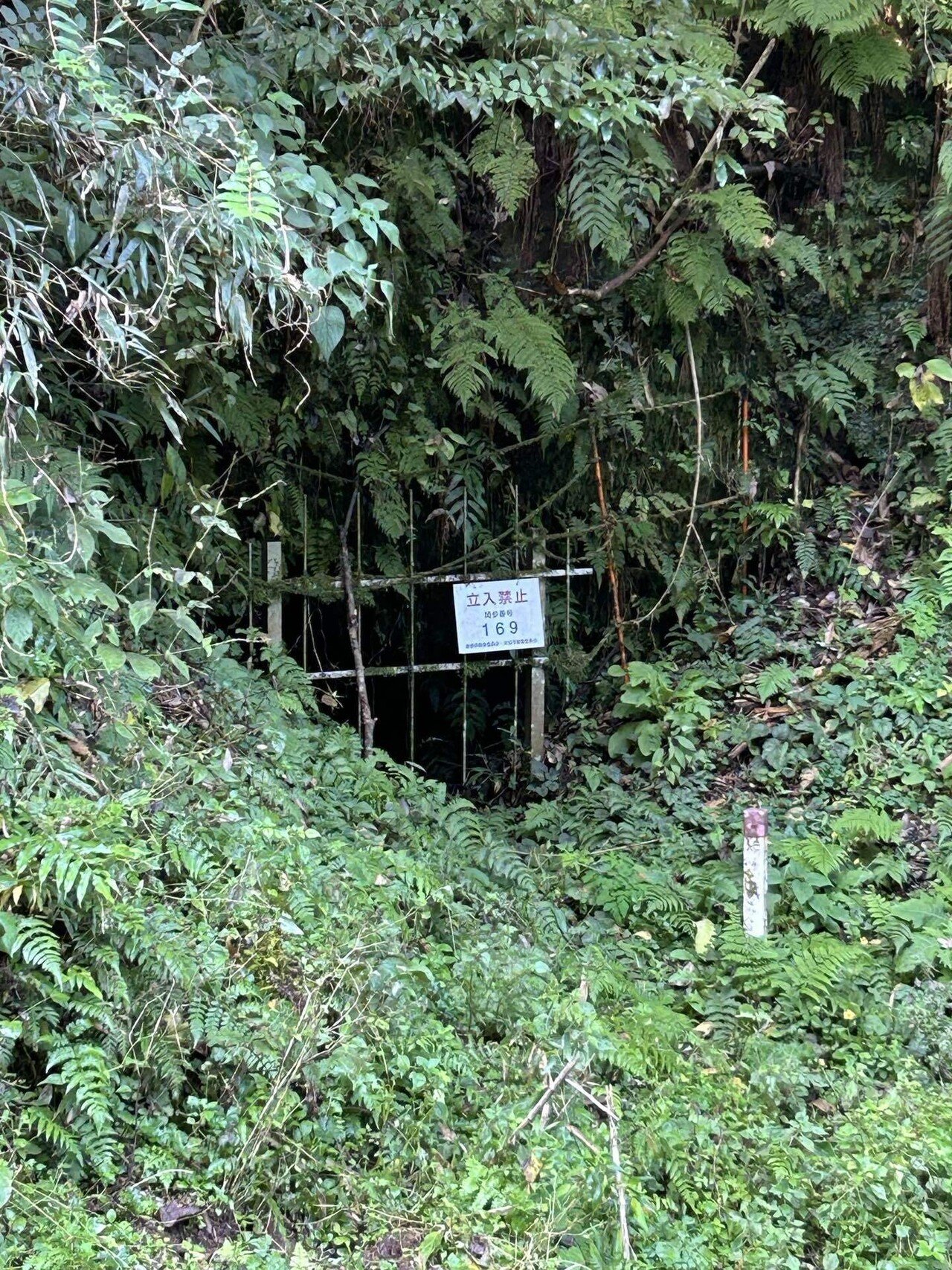 ガイド必須】島根県2025秋の謎なおでかけ4☆世界遺産 石見銀山｜謎な