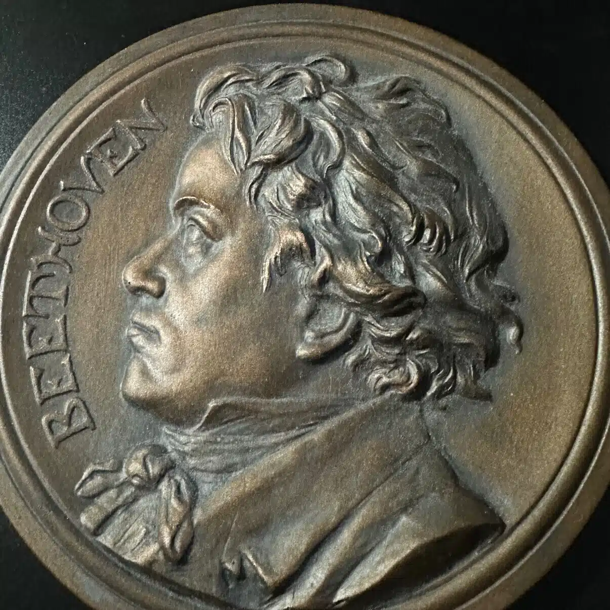vitabrevis251