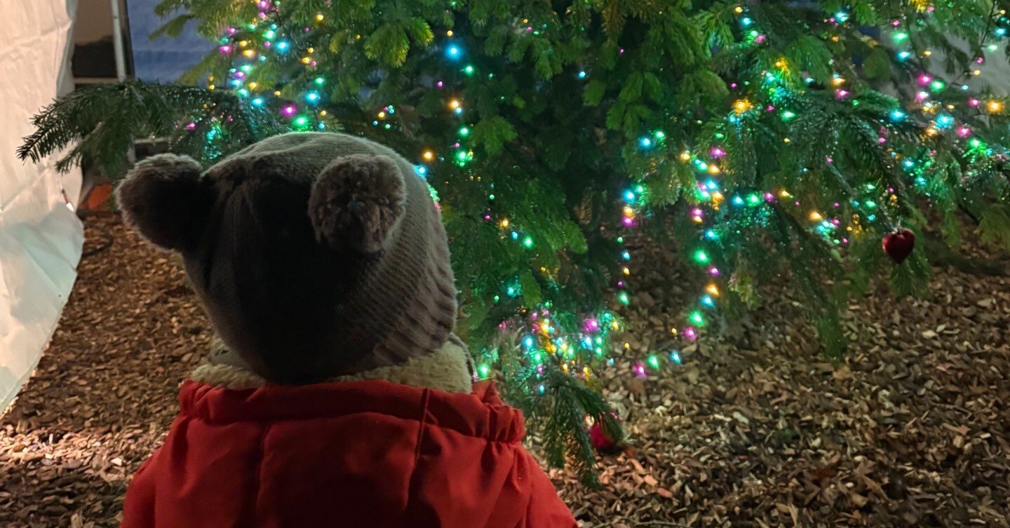 ドイツのちょっと面白い節約クリスマス🎄｜看護師辞めてドイツ暮らし