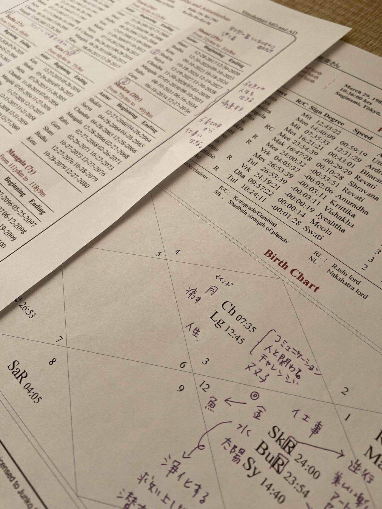 インド占星術を受けてみた｜ゆうか｜野草ジャーナリング