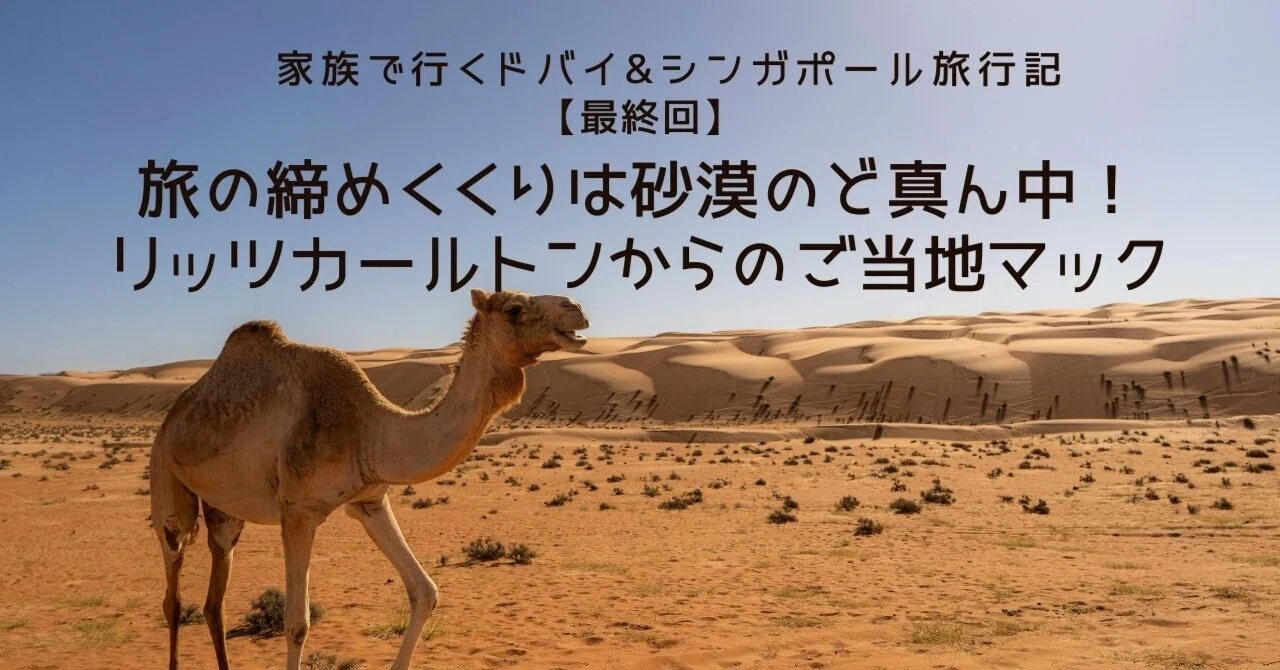 家族で行くドバイ&シンガポール旅行記【最終回】旅の締めくくりは砂漠