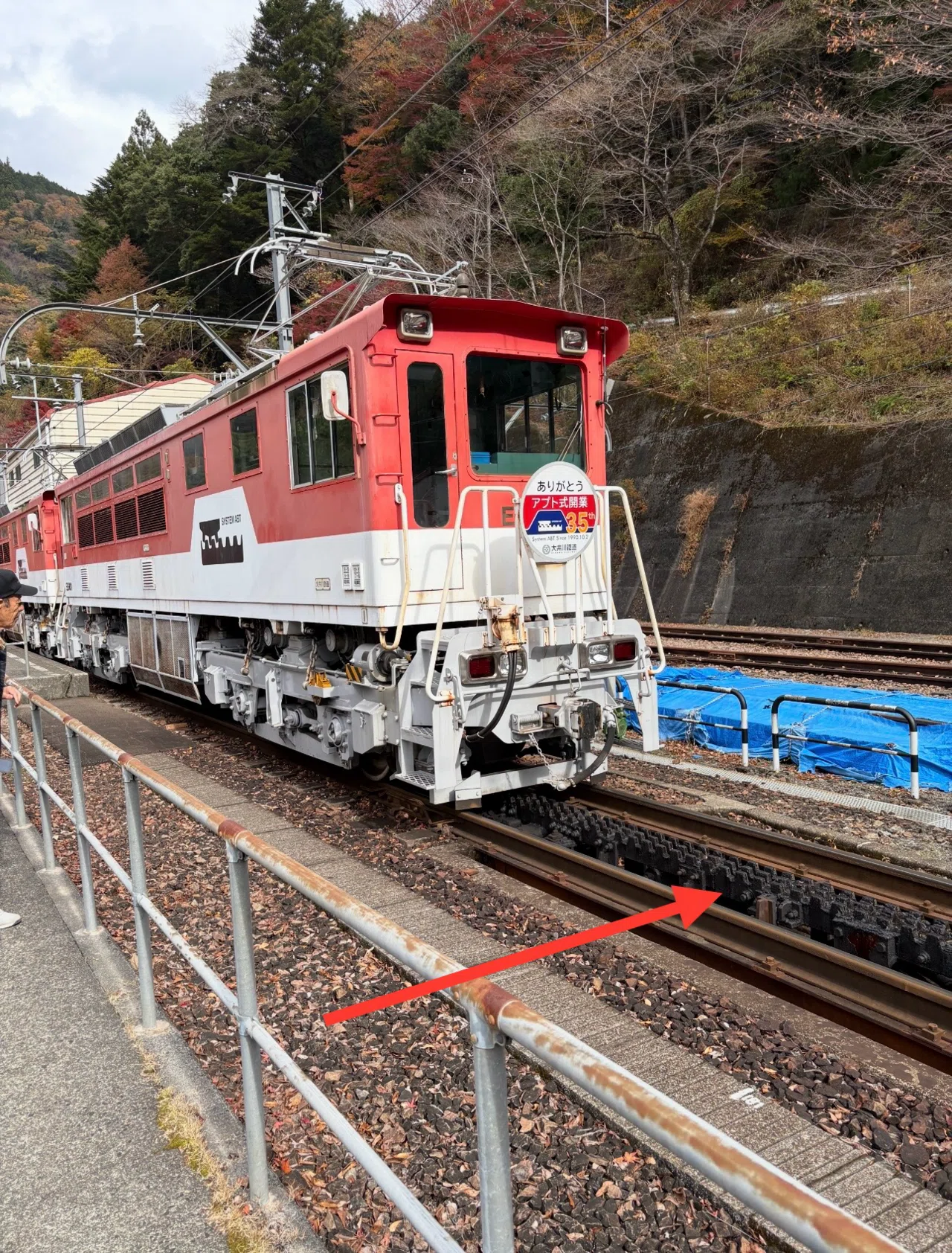 大井川鐵道トロッコ初体験！奥大井湖上駅を目指す😊｜じおらまに癒され隊🫡