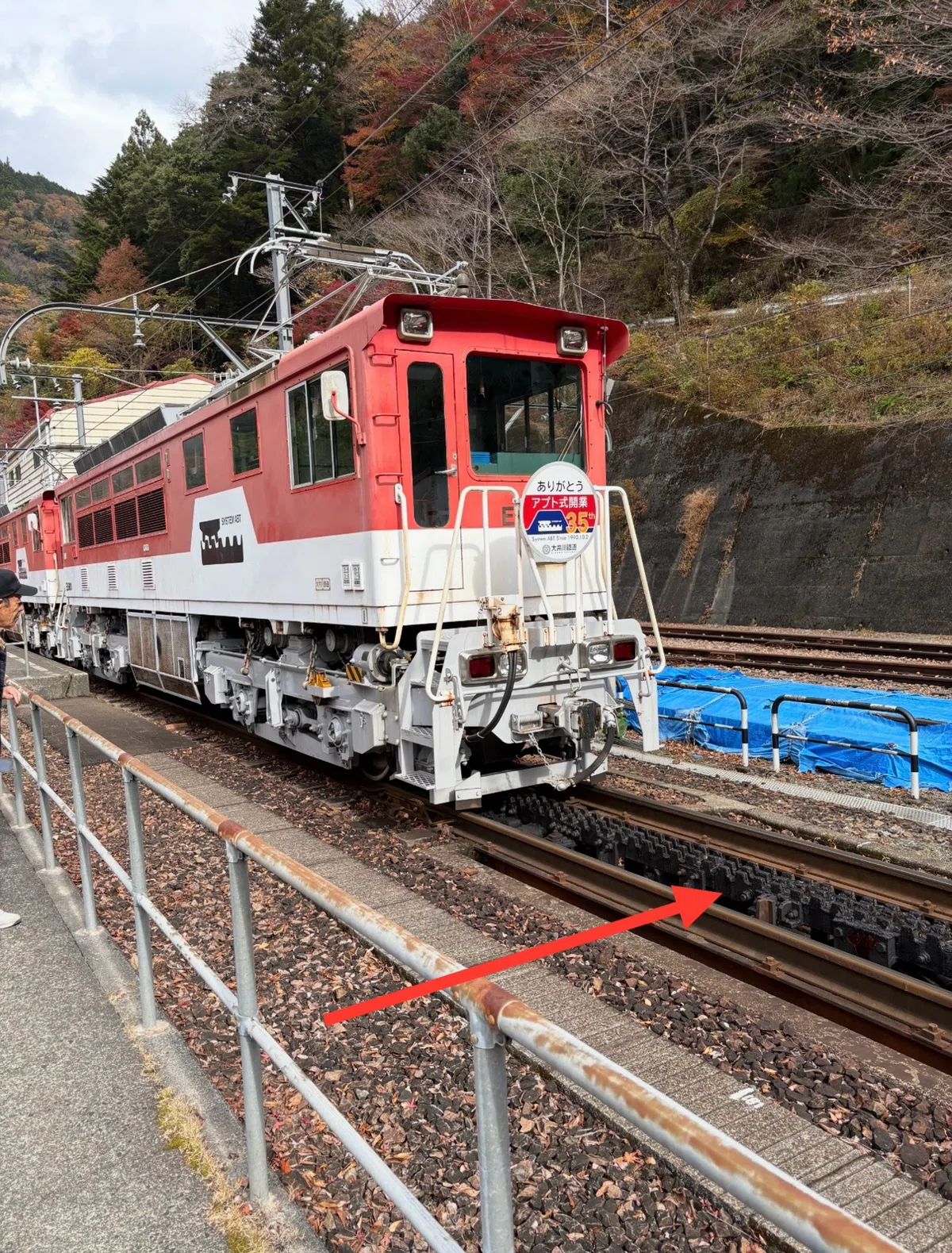 大井川鐵道トロッコ初体験！奥大井湖上駅を目指す😊｜じおらまに癒され隊🫡