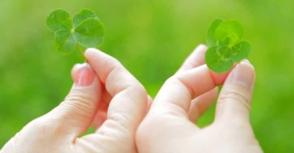 引っ張ってくれる男性なんてまっぴらごめんだと思う今 好奇心旺盛フーミングとなめくじチロ夫のゆるい日常 Note