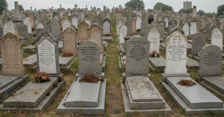 The Burial Cemetery Issue (1) [The Wall of Emotional Argument]: Is it ...