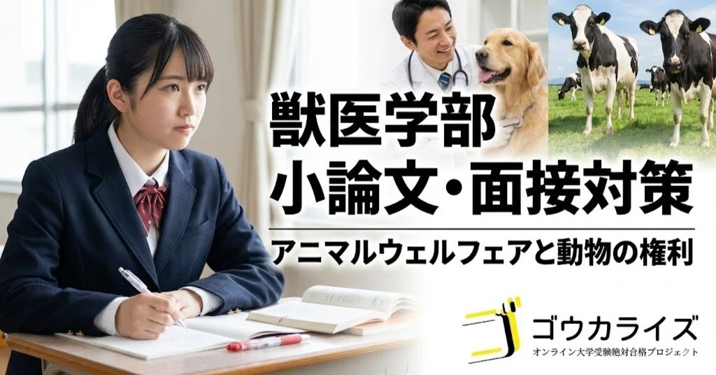 獣医・小動物「WJVF 2019 第5巻」DVD 獣医・小動物「WJVF 2019 第5巻」DVD 【公式通販】