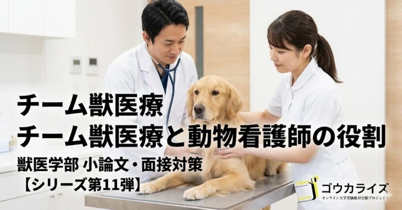 シリーズ第11弾】獣医学部 小論文・面接対策：チーム獣医療と動物看護