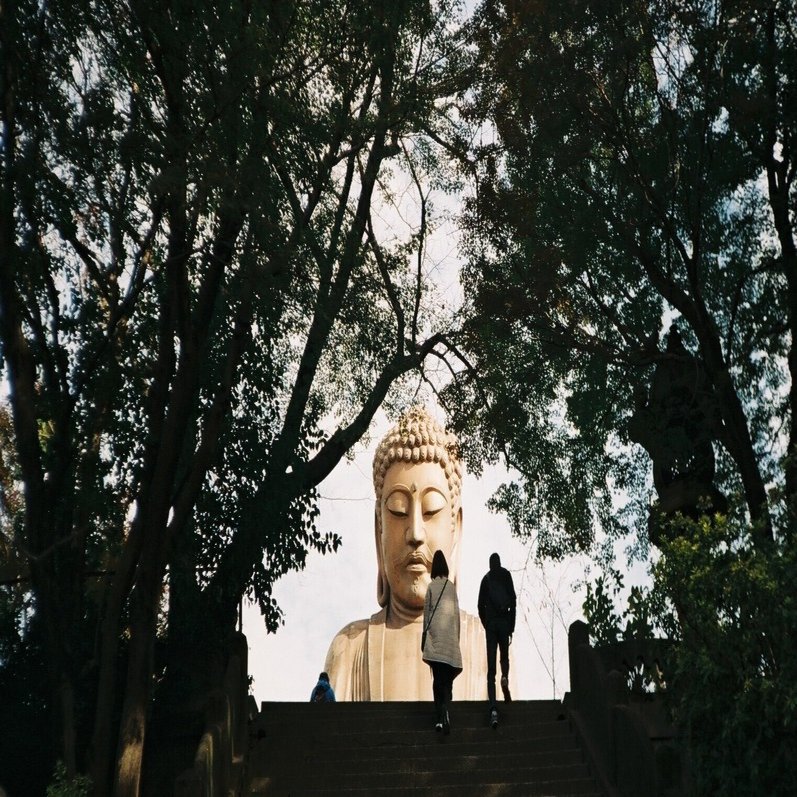 KONICA C35 FLASHMATIC 実写作例あり フォト）KONICA C35 flashmatic 作例集 | デジタル試しうち