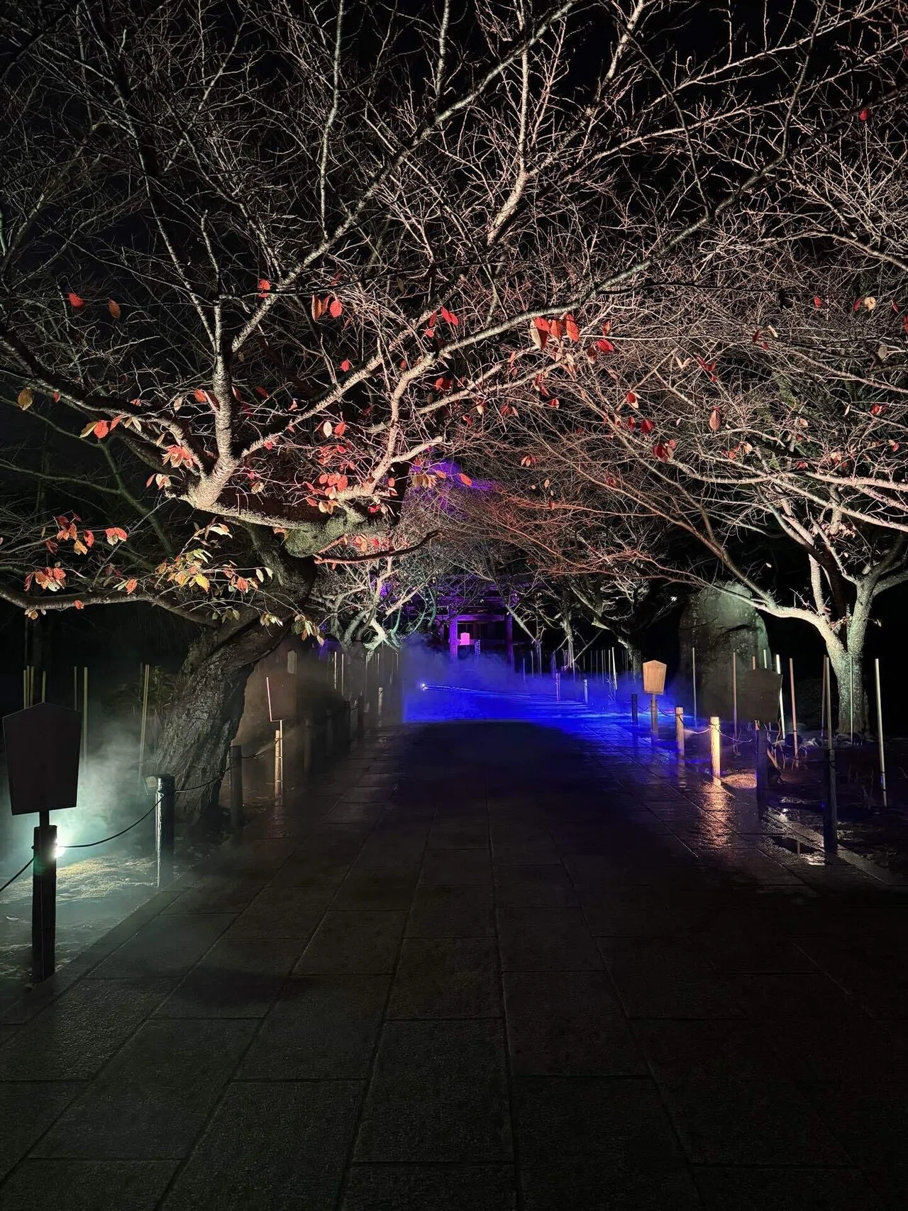 小話|建長寺 Zen Night Walk Kamakura秋の夜長に感じる禅とアート｜うみ