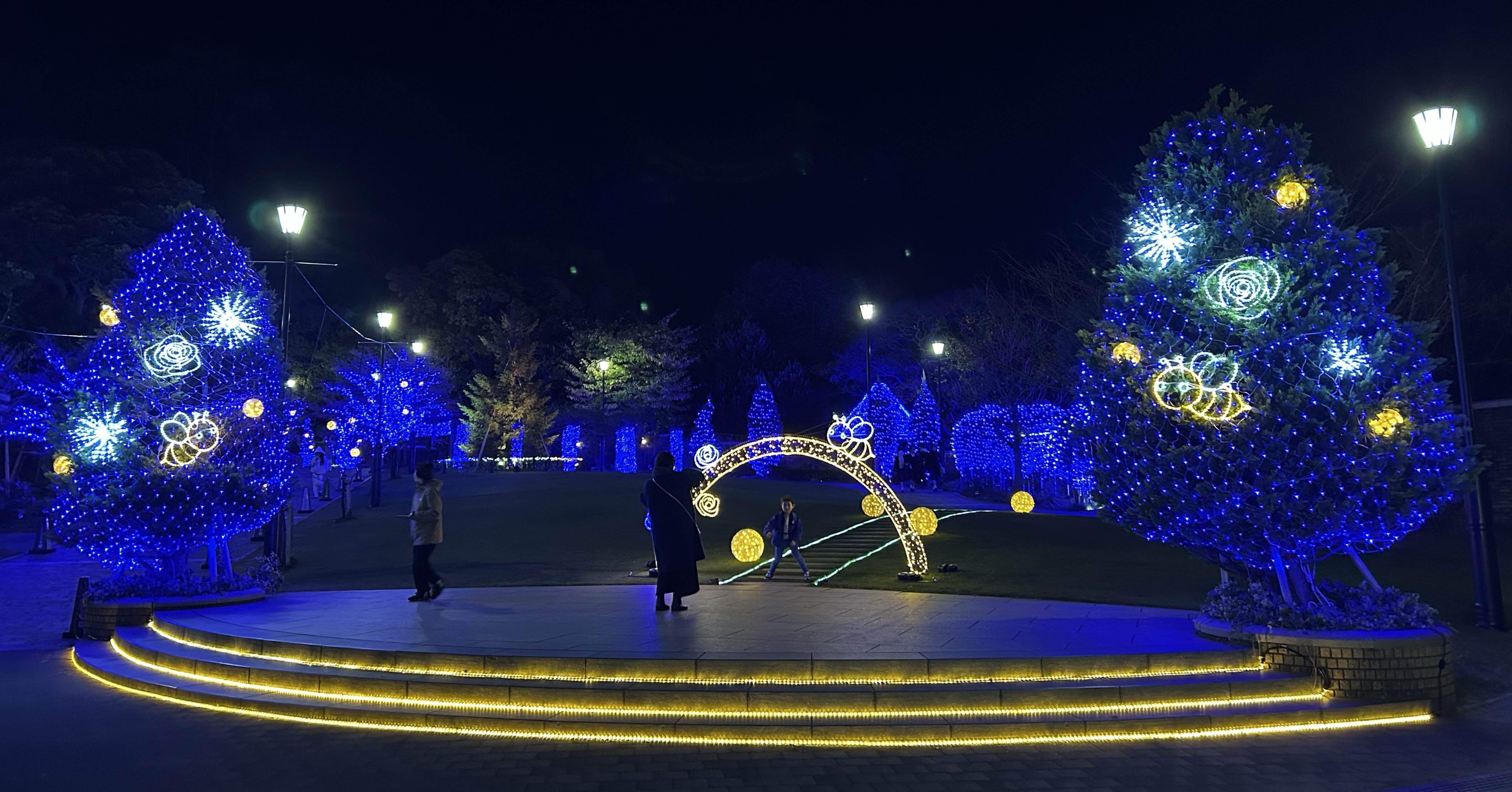 ブローライト　アメリカ　クリスマス　イルミネーション ブルックリンの高級住宅街に観光客殺到 “クリスマス仕様”豪華