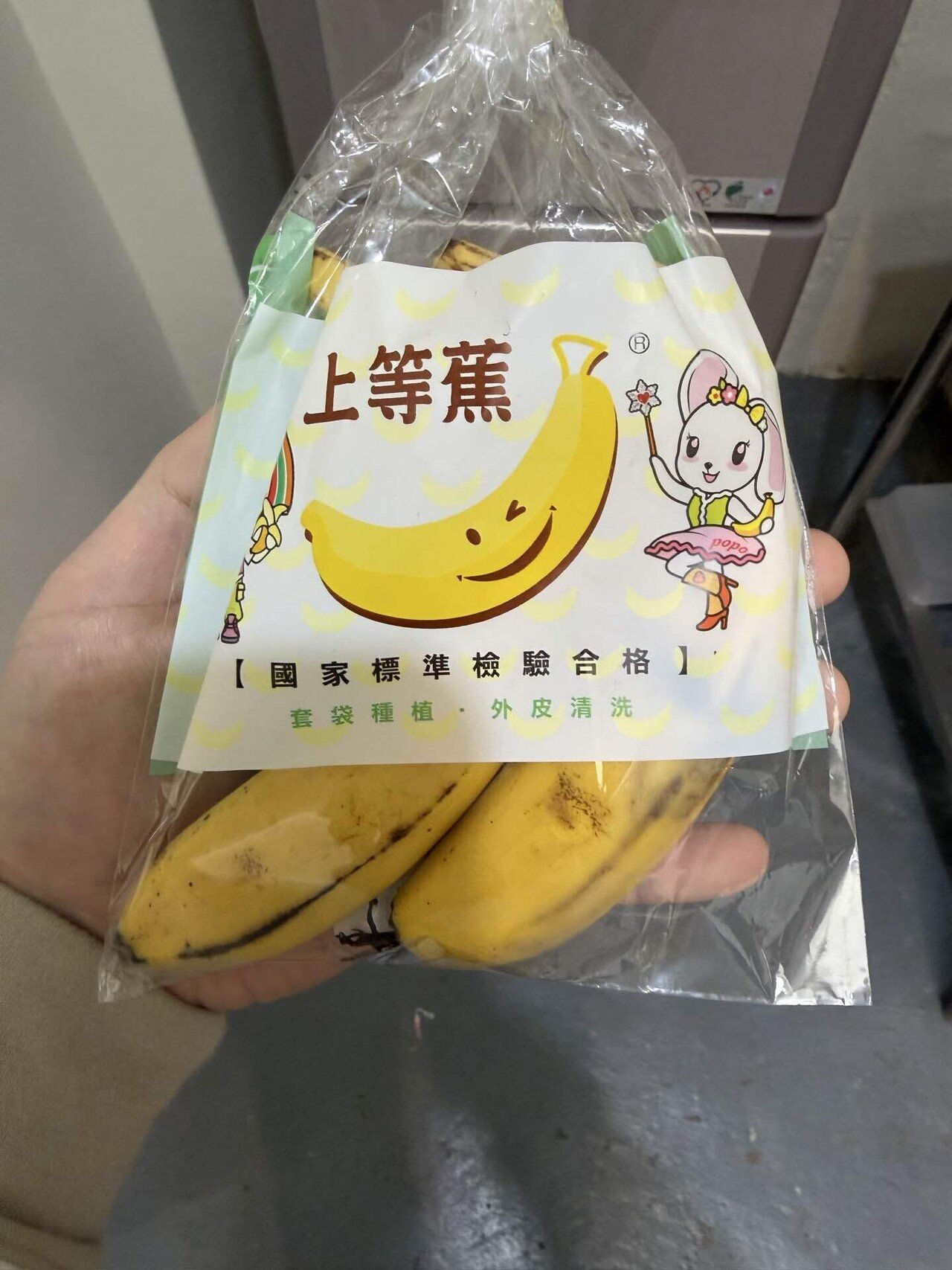 THAV-Artist in residence-Day 4｜Atsushi Adachi