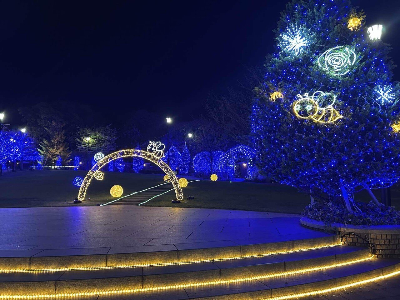 1)　夜のイルミネーション アメリカ山公園イルミネーション開始｜SuzukenSambar