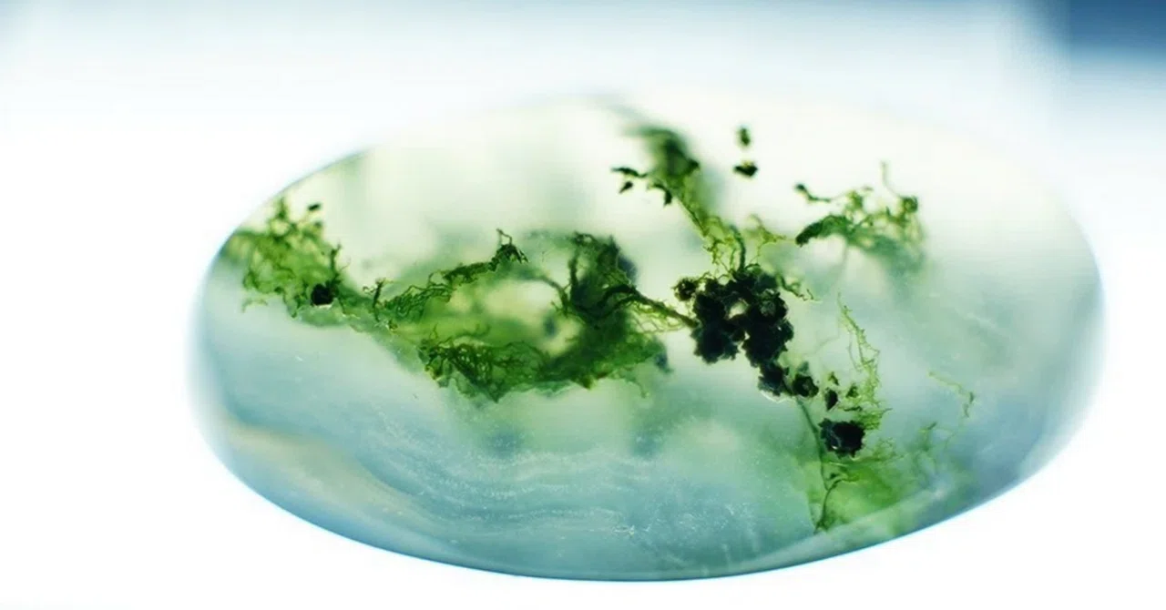 Moss Agate: A Little Peace of Mind from a Stone That Captures the ...