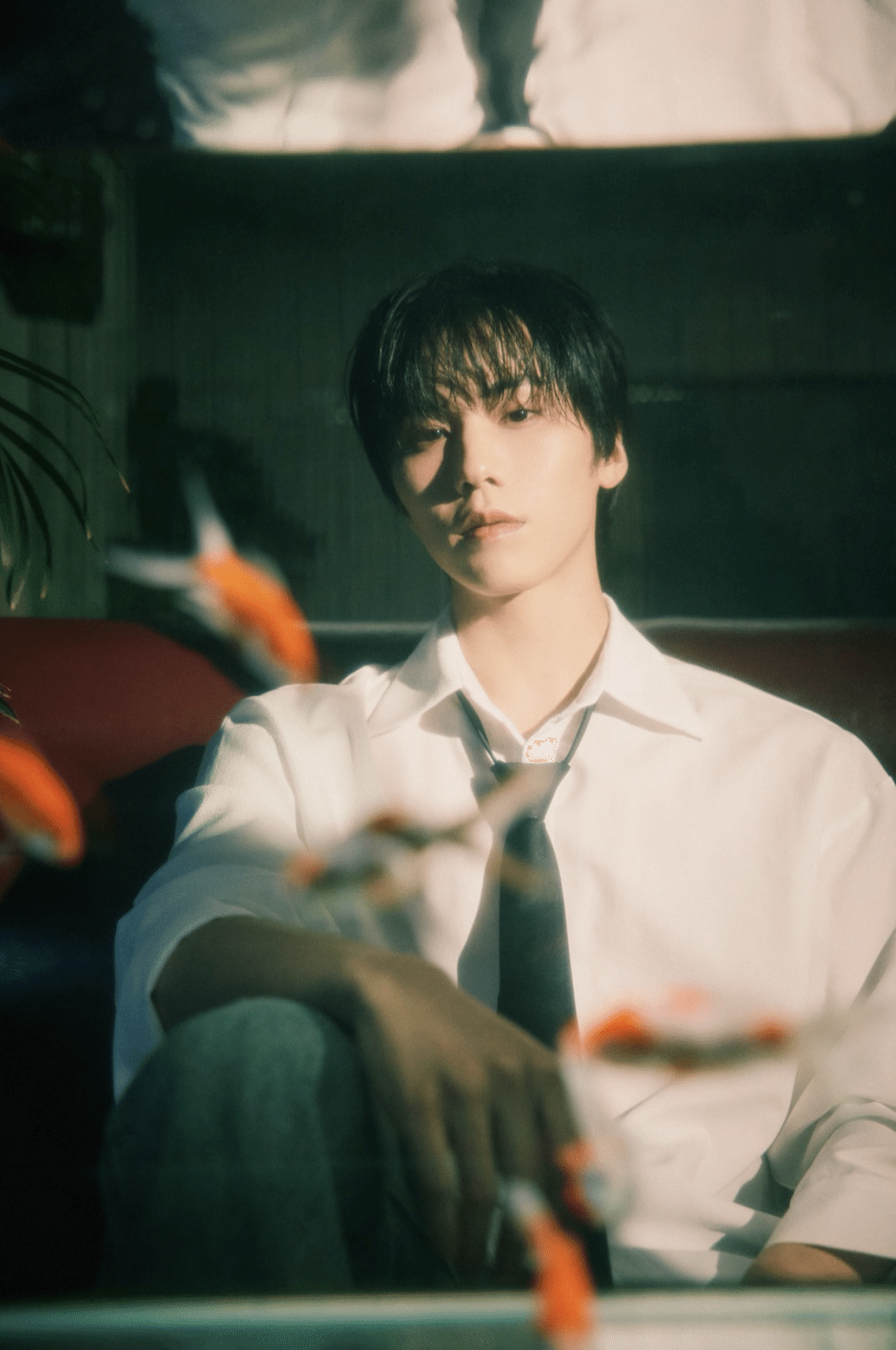 ROCKY : 夢に形づくられたソロアーティスト(インタビュー訳)｜Moonwalker🌙