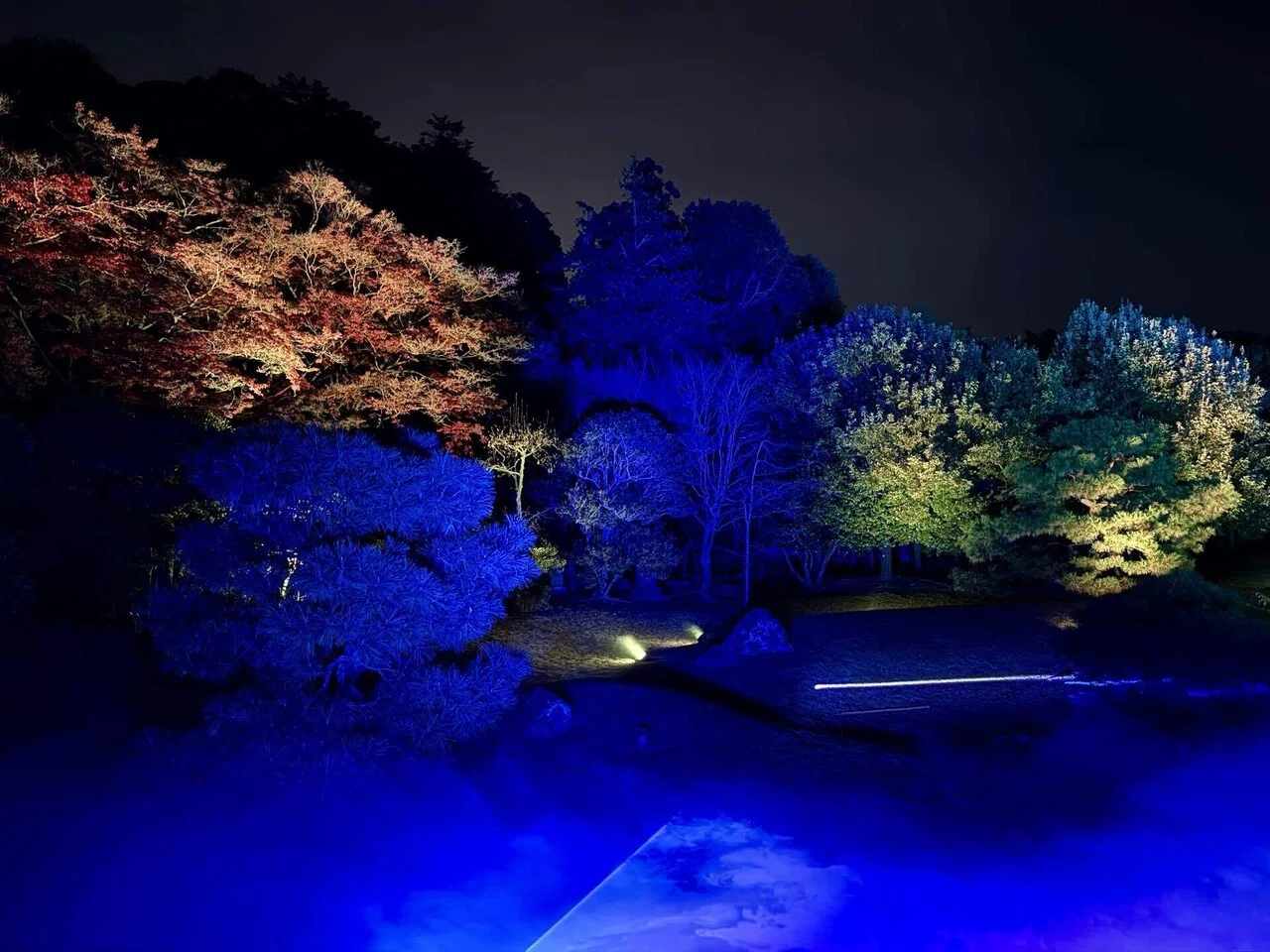 小話|建長寺 Zen Night Walk Kamakura秋の夜長に感じる禅とアート｜うみ