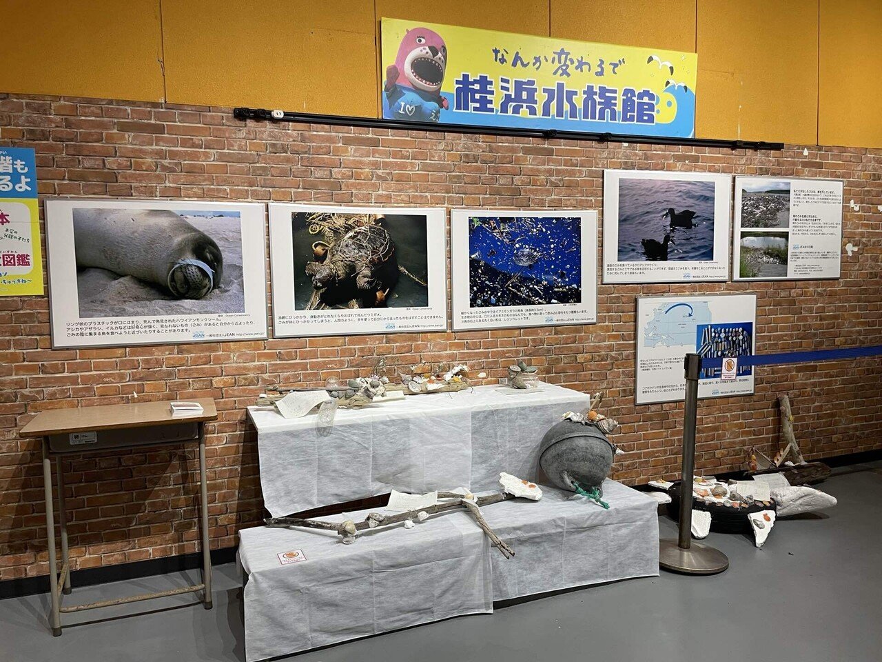 海ゴミアート展が始まります！｜桂浜水族館 公式