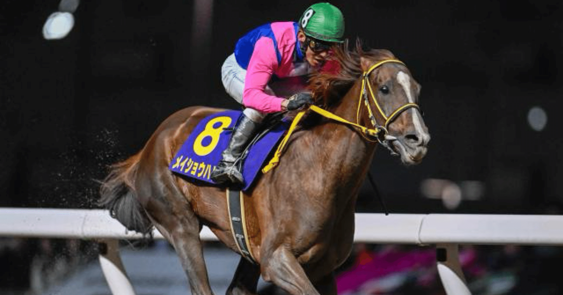 📖チャンピオンズC 出走馬物語】メイショウハリオ──逆境の底から甦る