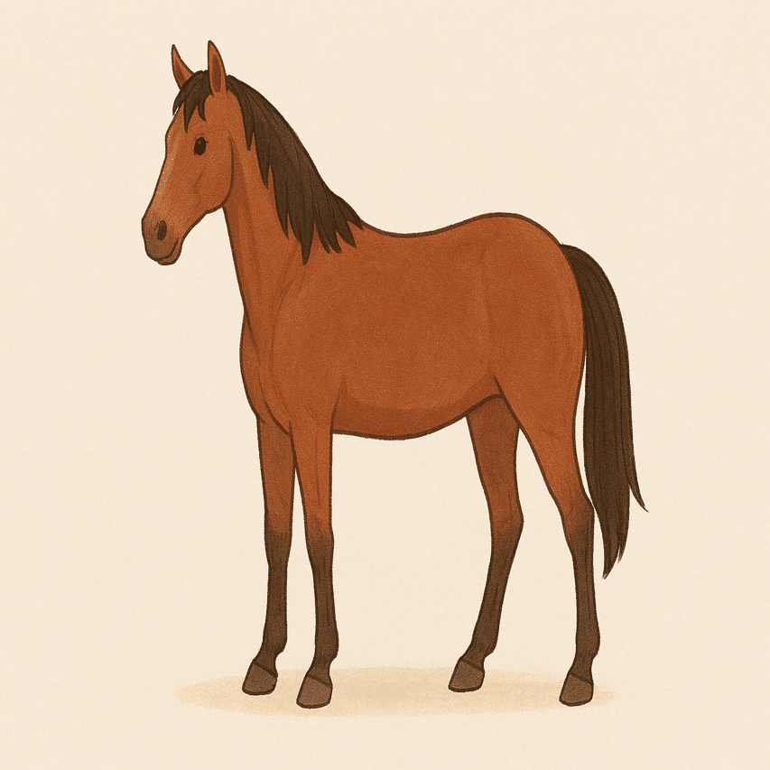 馬の絵 馬の墨絵が大迫力のサッポロ生ビール黒ラベル「JRA有馬記念缶