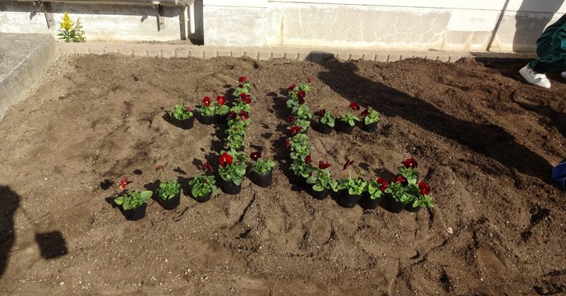 PTA花いっぱい運動