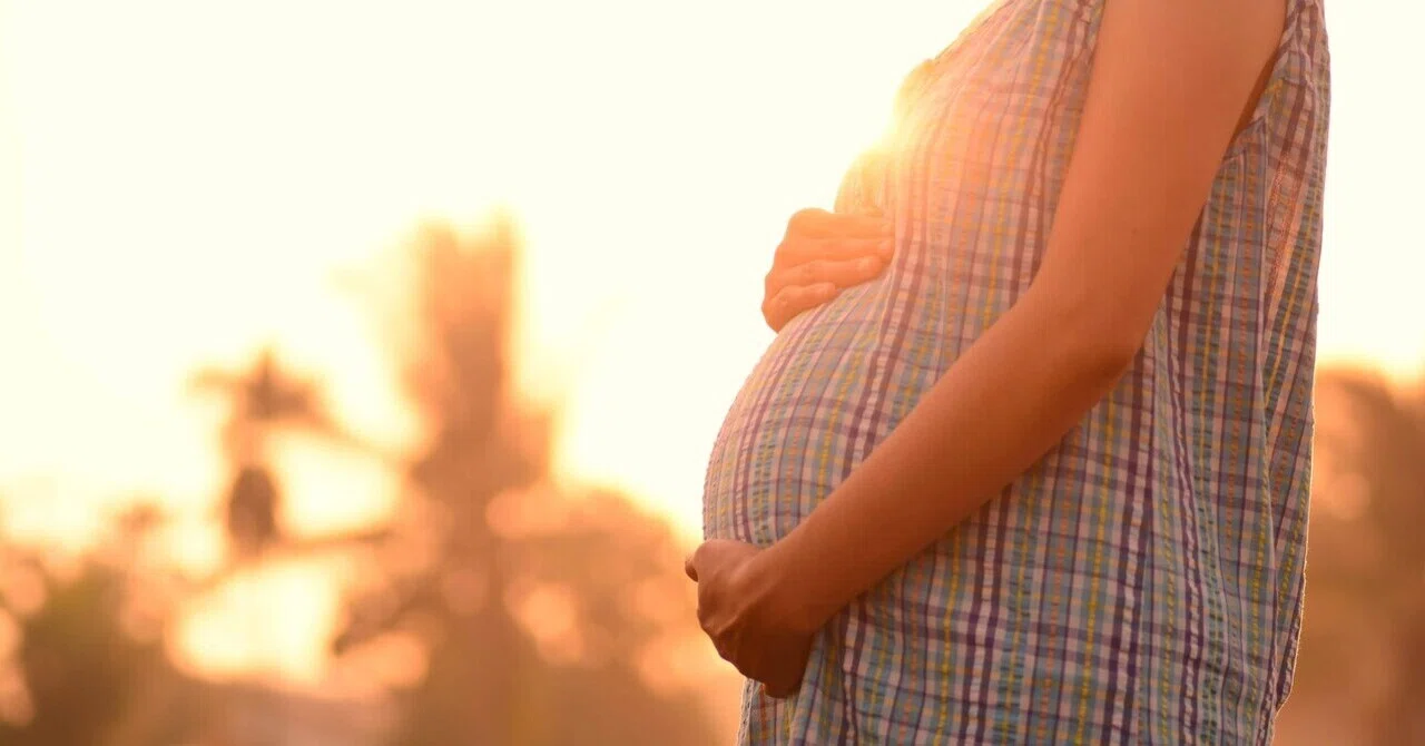 最新｜妊娠中の母親のビタミンDレベルは、子供の虫歯リスクと関連している