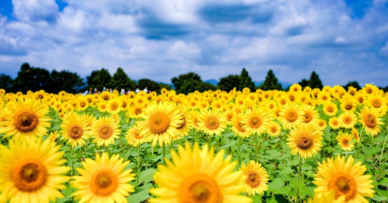 名言との対話 4月19日 中原淳一 おしゃれな人 とは どんな人でしょう それは美しくありたいと思う心が ことさらに強い人のことです 久恒 啓一 Note