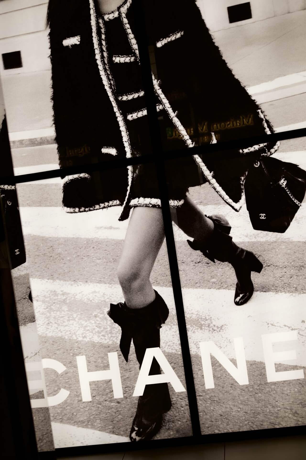 めっちゃ気になるカメラがあるのだが…｜🅣ⓄⓀⓎⓄ Ⓢ🅣ⓇⒺⒺ🅣 🄿🄸🅇